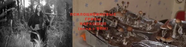 MDMA Premium VHQ Карпинск