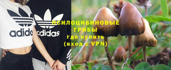 MDMA Premium VHQ Карпинск